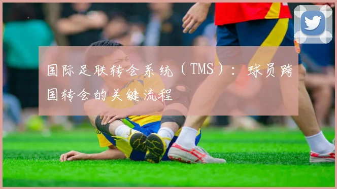 国际足联转会系统(TMS):球员跨国转会的关键流程