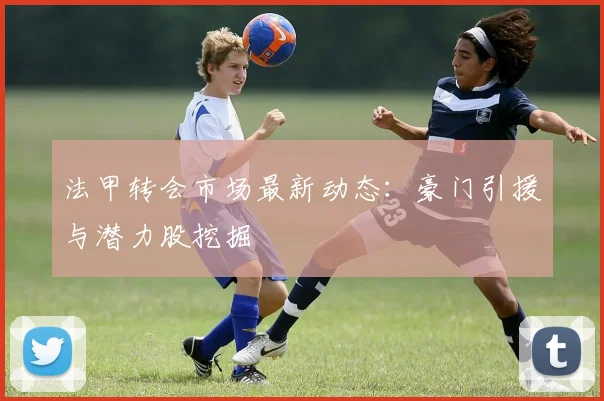 法甲转会市场最新动态:豪门引援与潜力股挖掘