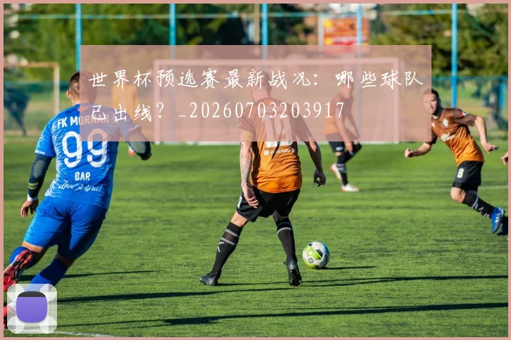 世界杯预选赛最新战况:哪些球队已出线?_20260703203917