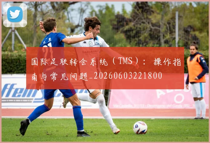 国际足联转会系统（TMS）：操作指南与常见问题_20260603221800